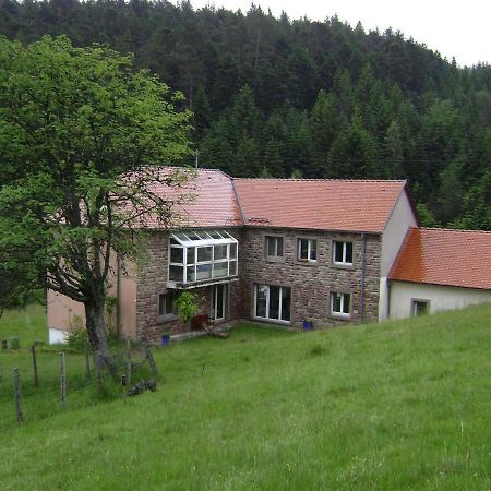 Gite Hansel De La Ferme Du Schneeberg Wangenbourg-Engenthal Exterior foto