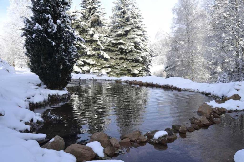 Gite Hansel De La Ferme Du Schneeberg Wangenbourg-Engenthal Exterior foto